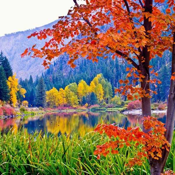 10 Reasons to Love the Fall