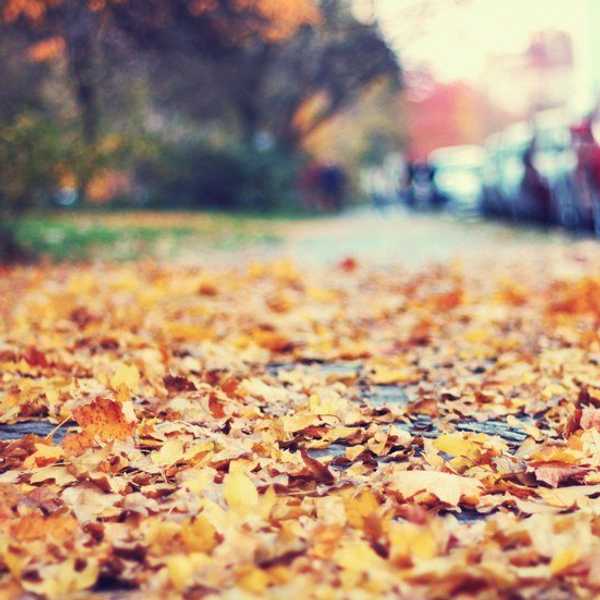 Autumn Aesthetics That Are Hard Not To Love