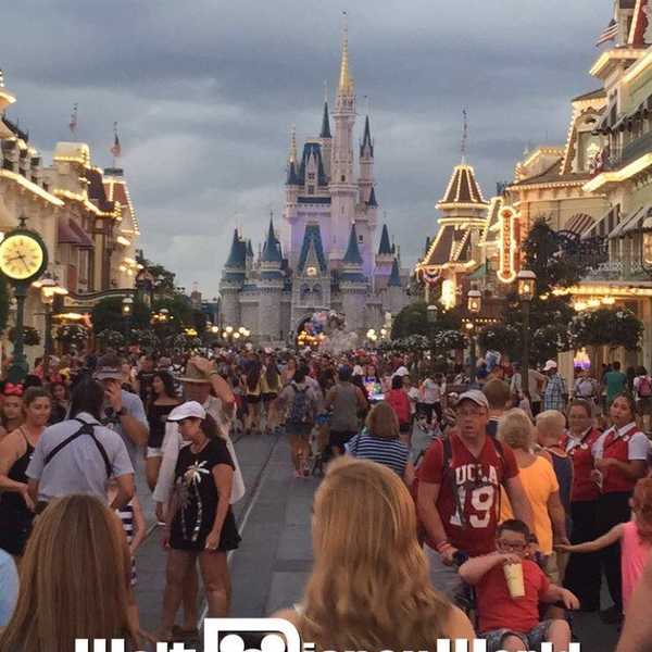 There's Nothing Quite Like The Magic Of Disney World