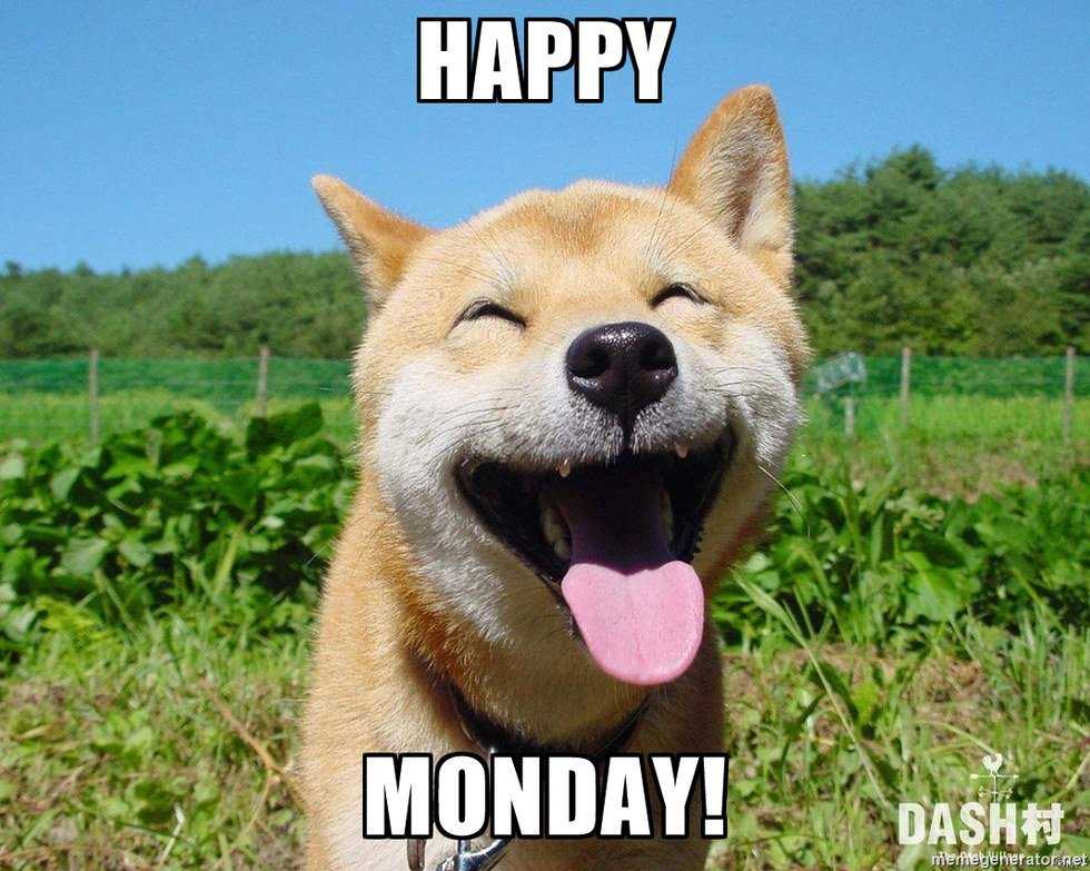 14 Things To Make Your Monday A Little Brighter