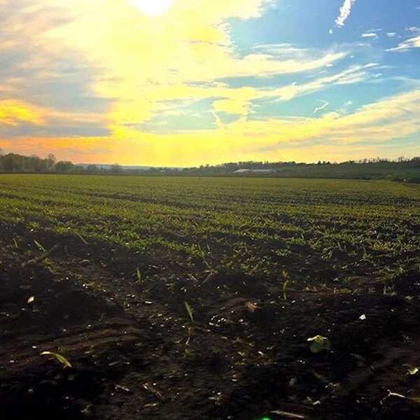 16 Signs You Live In Florida, New York