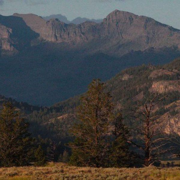 20 Reasons to Never Visit Yellowstone National Park