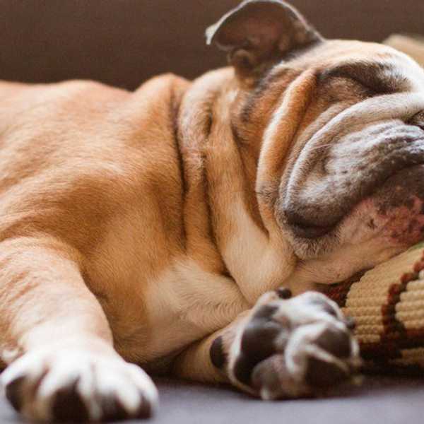 How to Stop Procrastinating