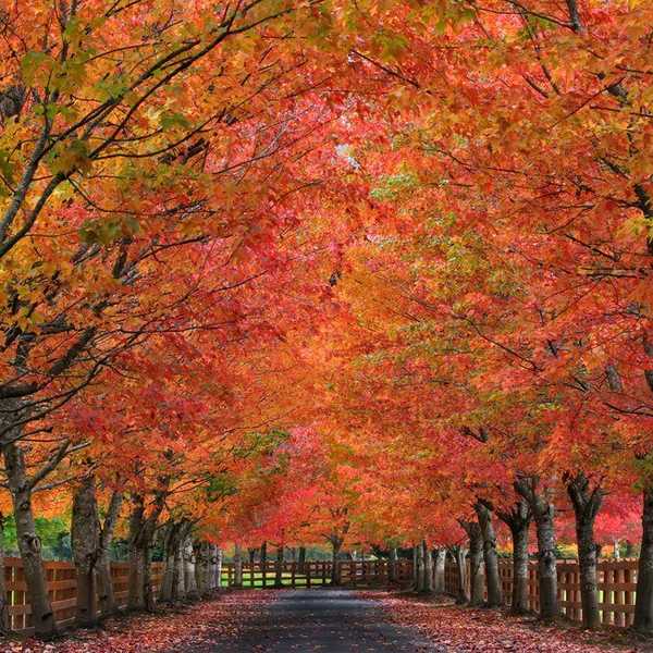 10 Reasons Why Fall is the Best Season