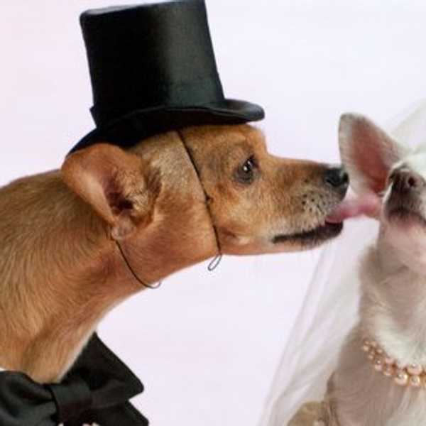5 Random Facts Every Romantic Should Know