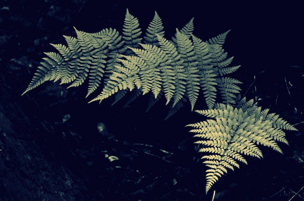 The Things We Overlook