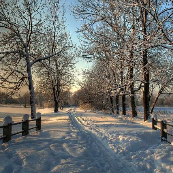 A Winter Memory In The Country