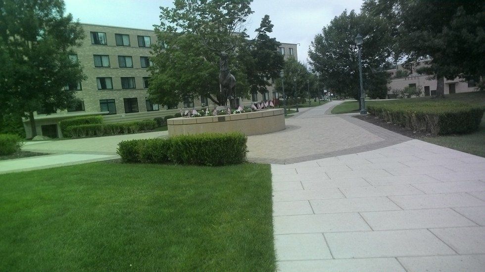 5 Sayings That Only A Stag Would Understand