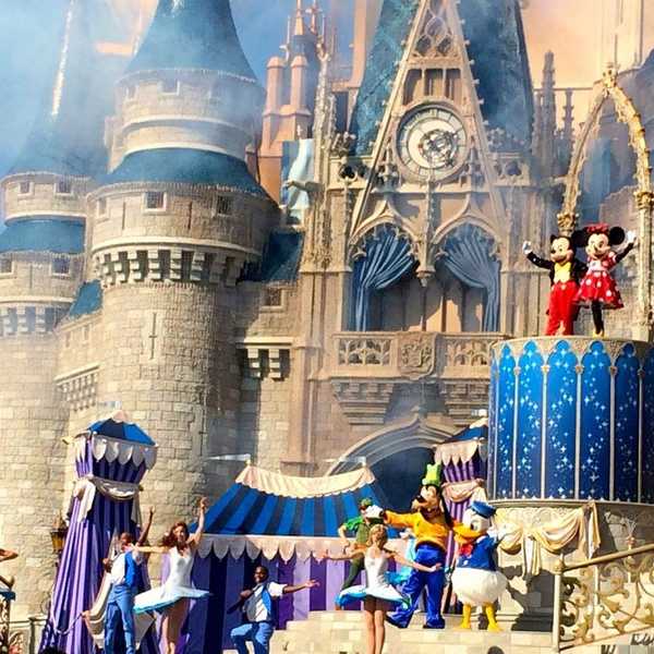 Five Must Know Tips Before You Apply To The Disney College Program