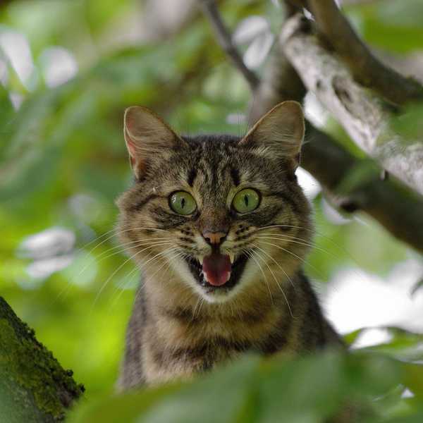Why Passive Aggressiveness Is Of Little Worth