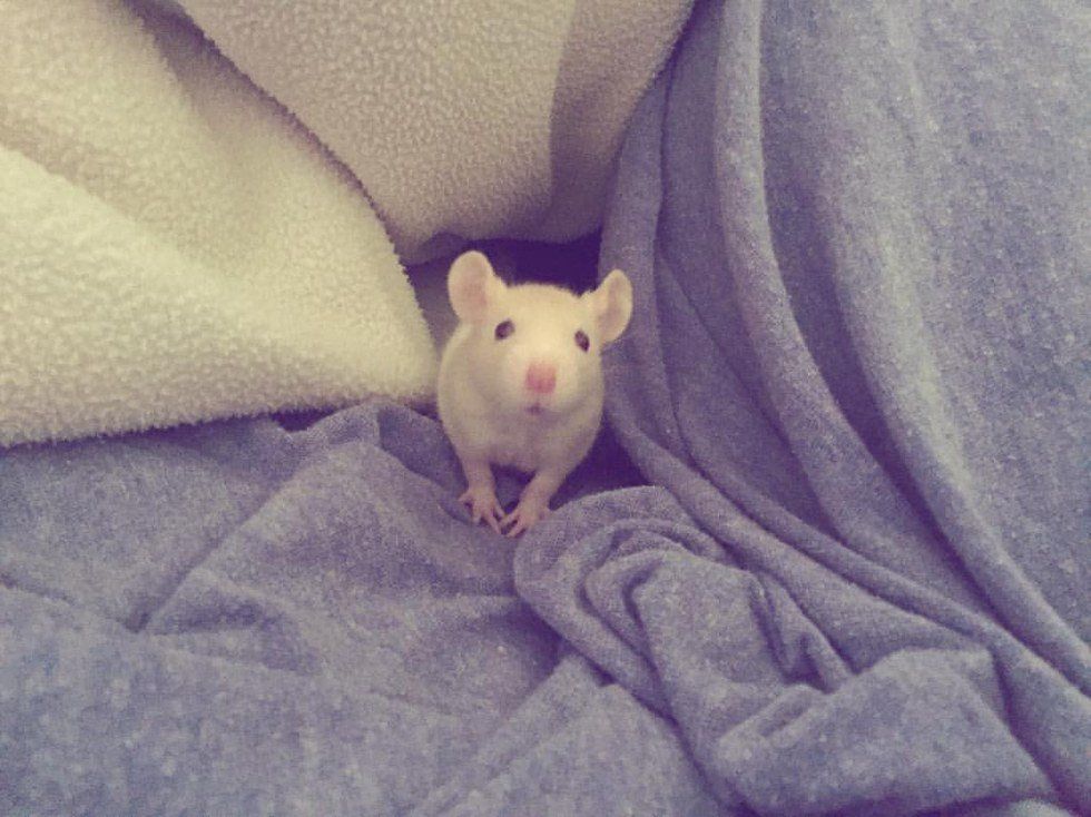 Let's Learn How To Be Human Again