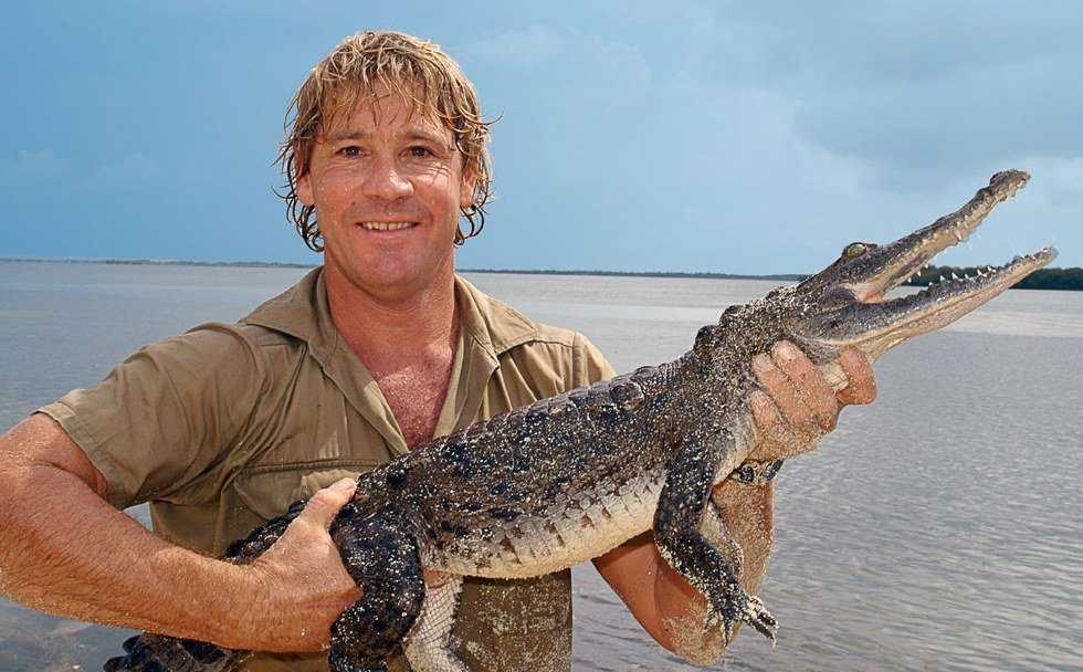 The World Remembers A Great Wildlife Conservationist: Steve Irwin | The ...