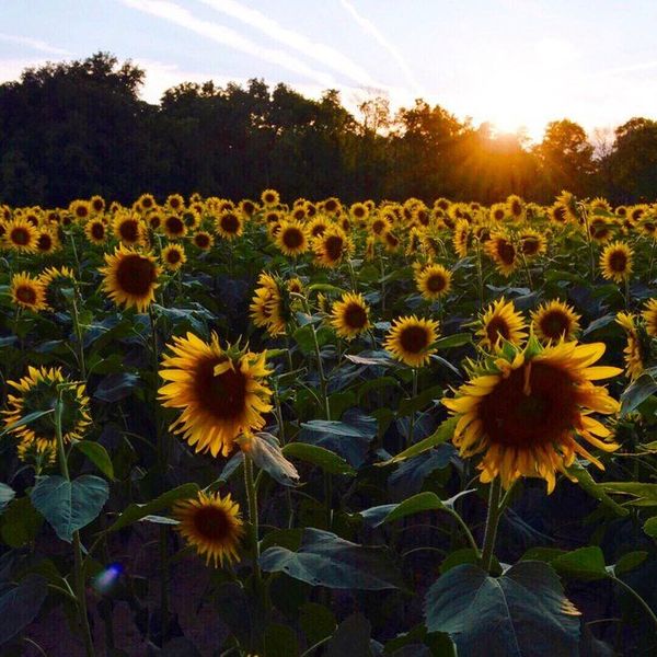 10 Tips For Taking Cooler Pictures