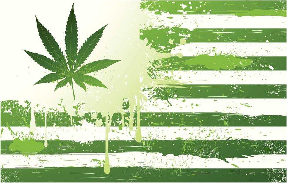 Is it Worth Legalizing Marijuana in all 50 States?