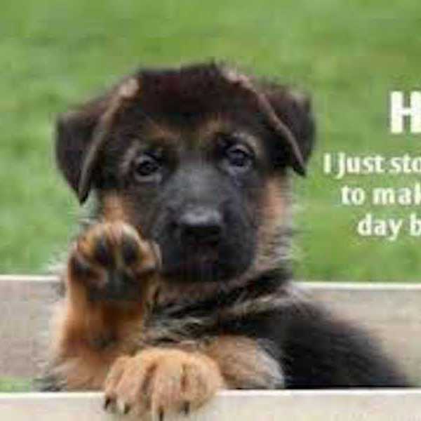 10 Quotes To Make or Motivate Your Day