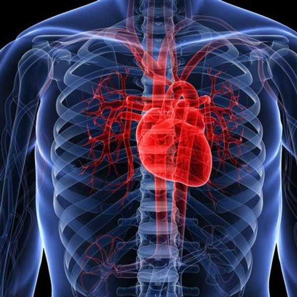 For All Those With Hypoplastic Heart Syndrome