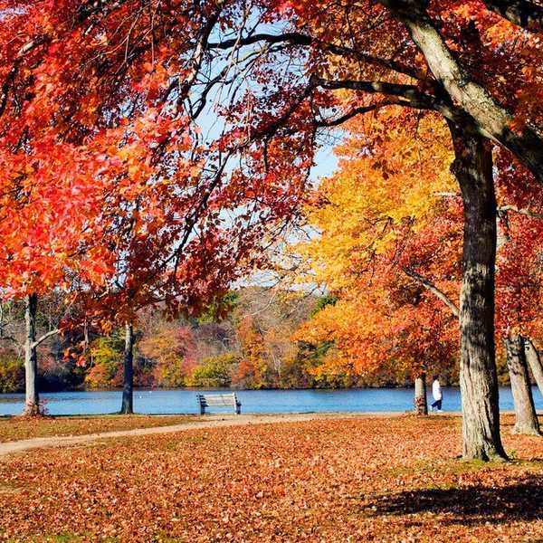 10 Activities To Add To Your Long Island Fall Bucket List