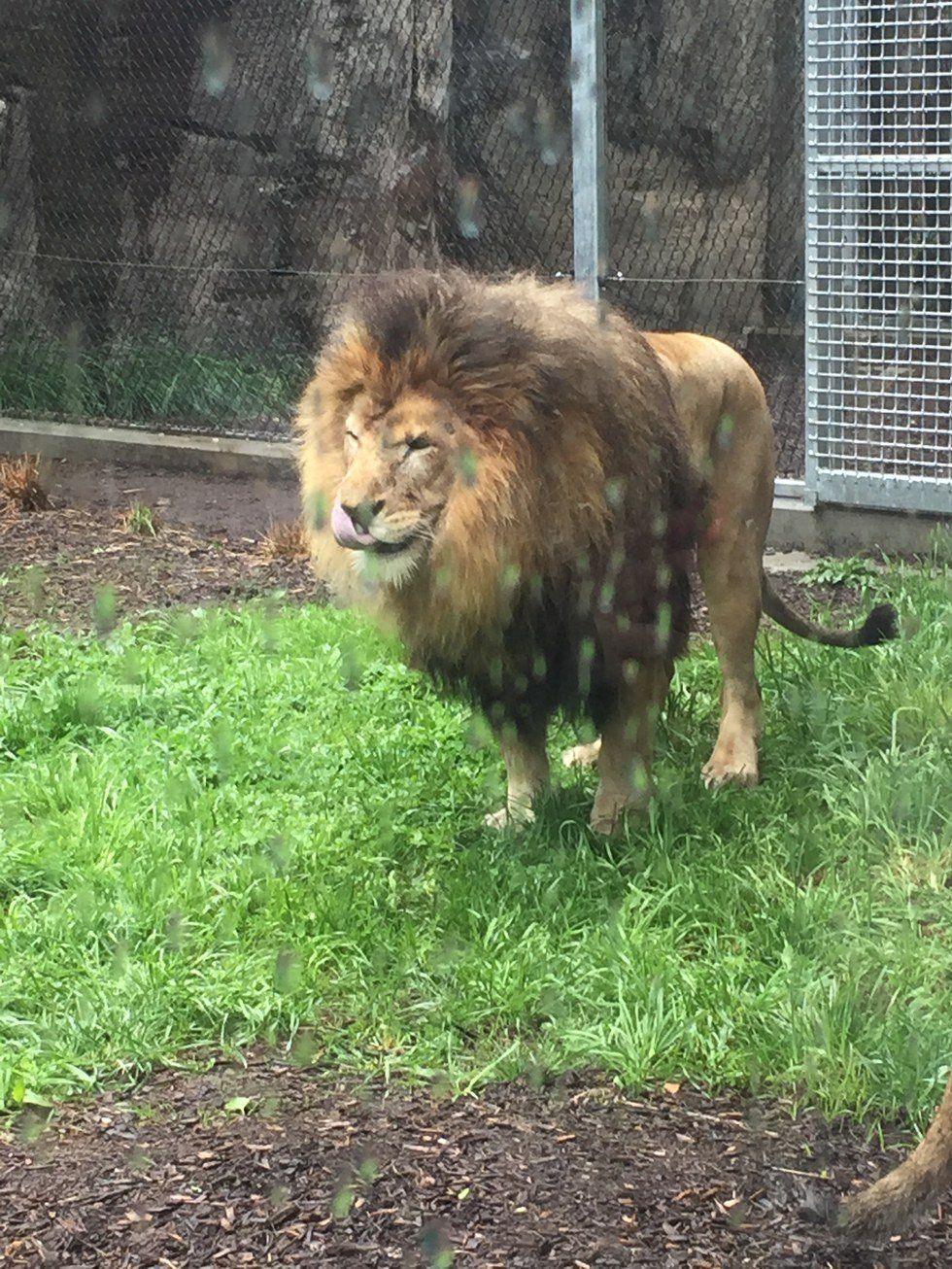 Why Breaking The Status Quo Is Good