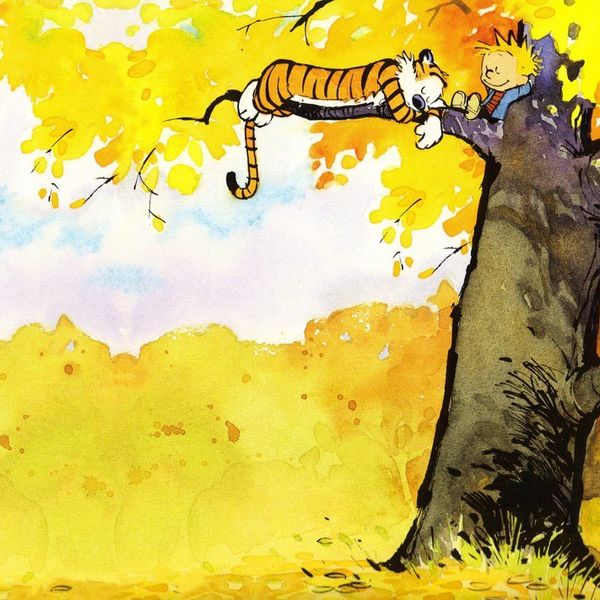 The 10 Best Calvin and Hobbes Comic Strip Themes