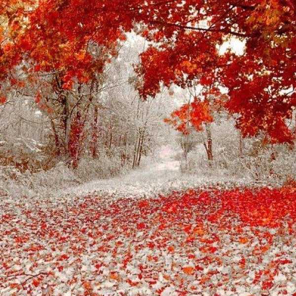 9 Reasons The Winter Solstice Is Better.