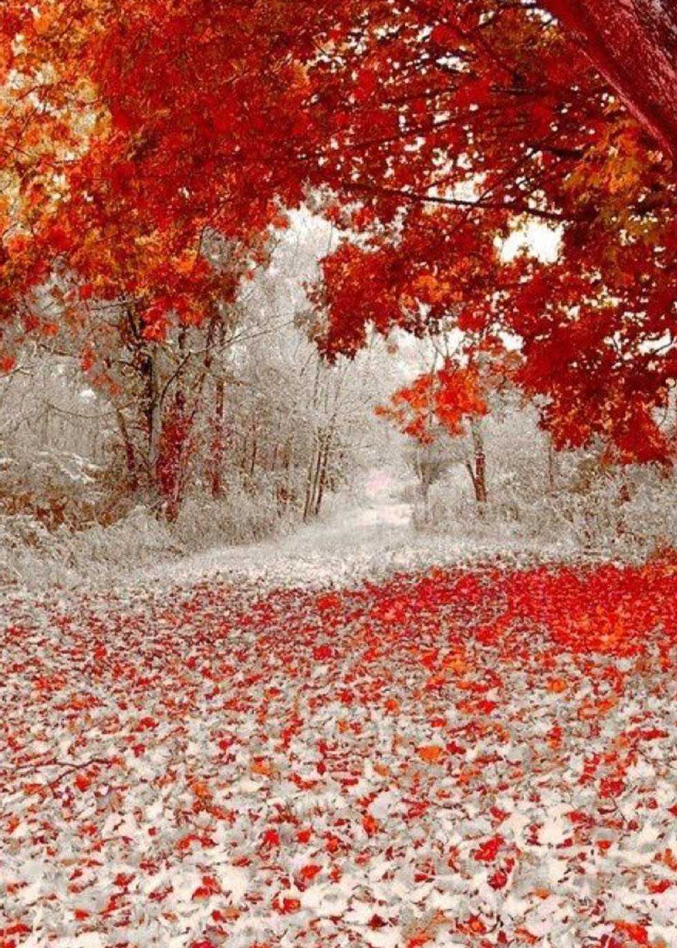 9 Reasons The Winter Solstice Is Better.