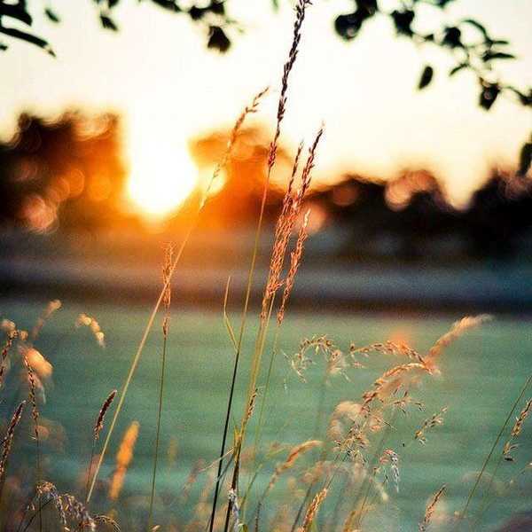 Pearls of Wisdom for Young Girls Everywhere