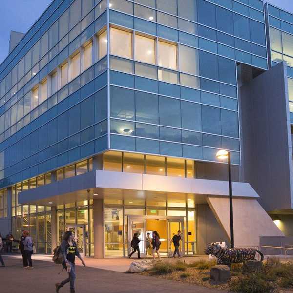A Letter To My Parents as A New College Freshman