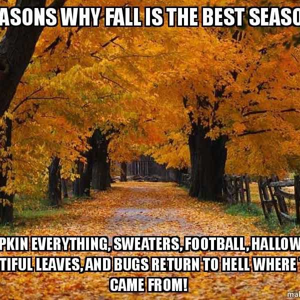 9 Reasons I'm Excited For Fall