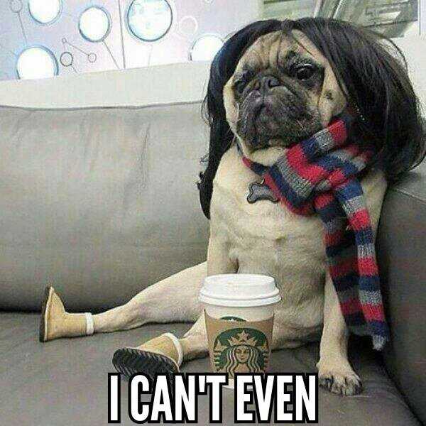7 Reasons Why I Am Basic During The Fall And Proud Of It