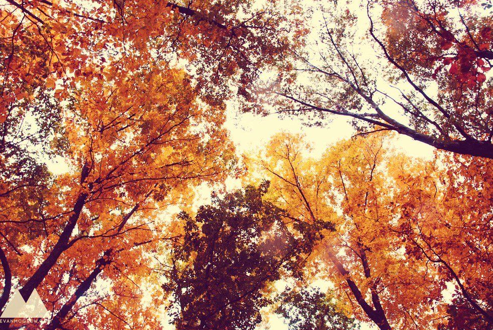 11 Reasons Why Fall is the Best Season