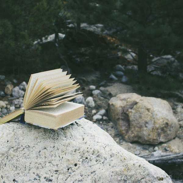 I'm just A Writer