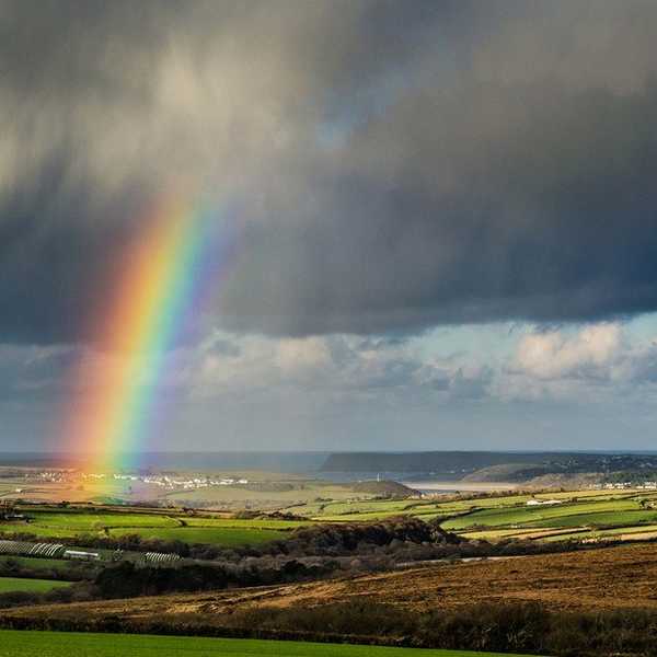 Life Requires A Community