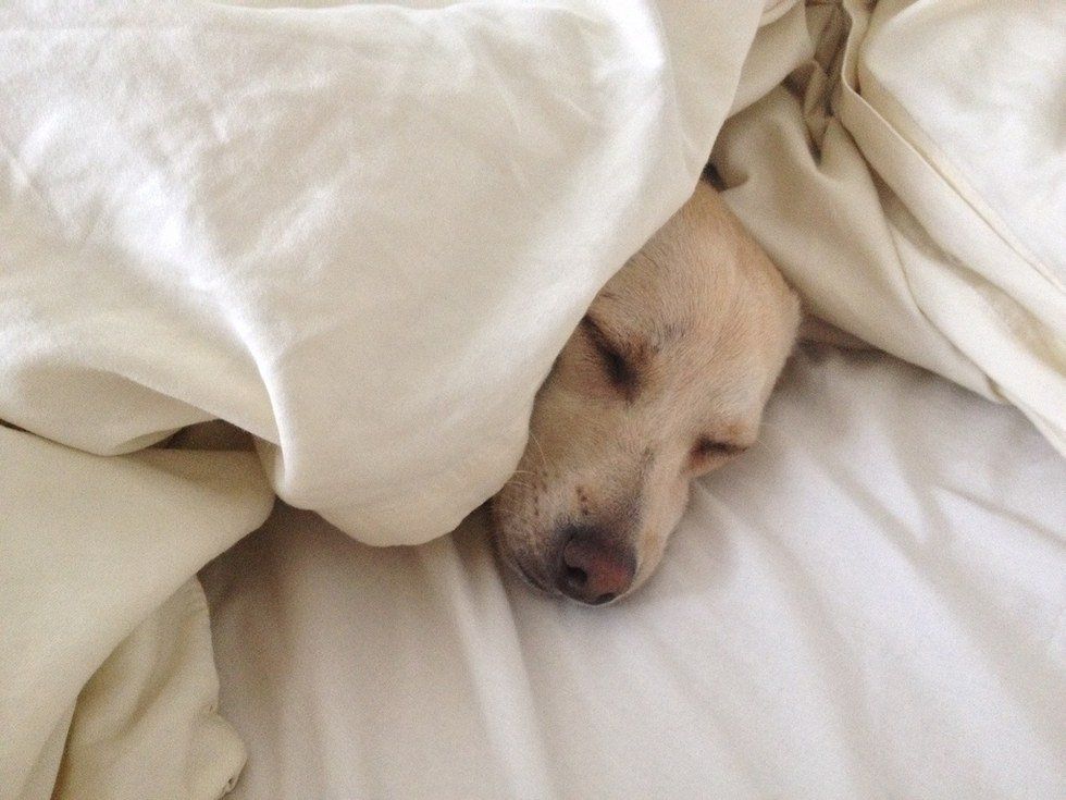 When After Rush Exhaustion Hits You