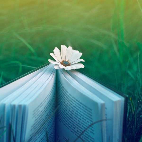 Why Reading Is A Way Of Life