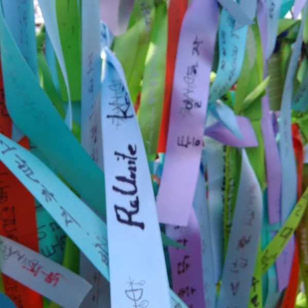 What I Learned Traveling The Korean Demilitarized Zone (DMZ)
