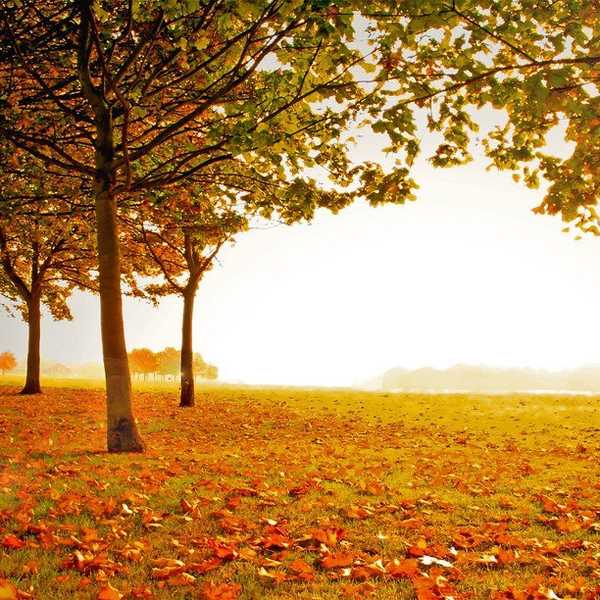 15 Reason Why Fall Is The Best Season Of All