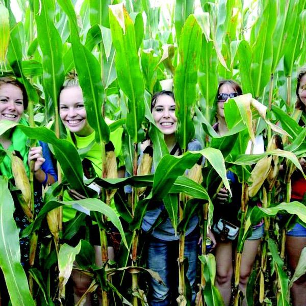 16 Fun Things To Do This Fall