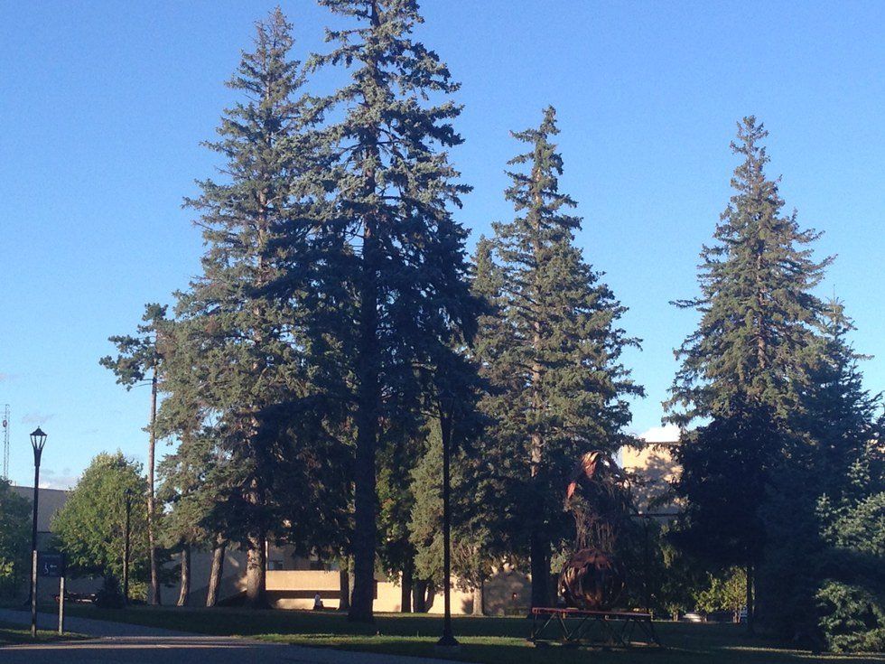 10 Things You Learn In Your First Week At A SUNY School