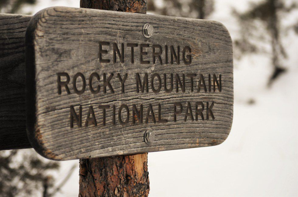 Understanding the Paradox