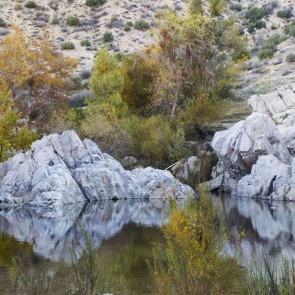 Passion Is What Drives Me, Not Your Comments