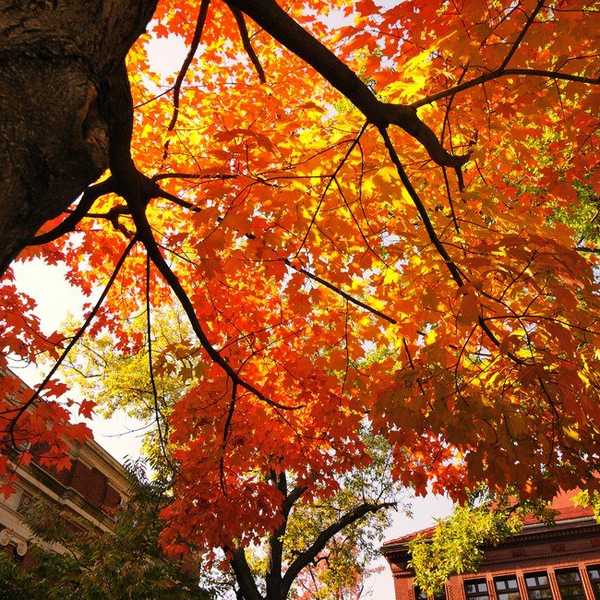 12 Things I Learned My First Week Of College