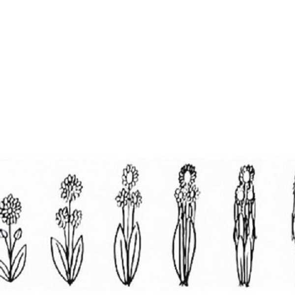 A Crash Course On Loving Yourself