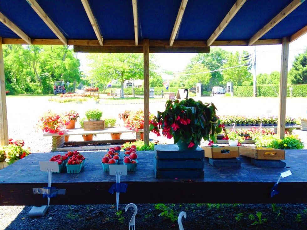 Why I Love Working On A Farm Stand