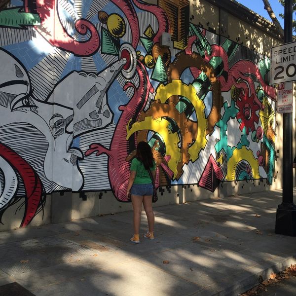 The University Of Loneliness