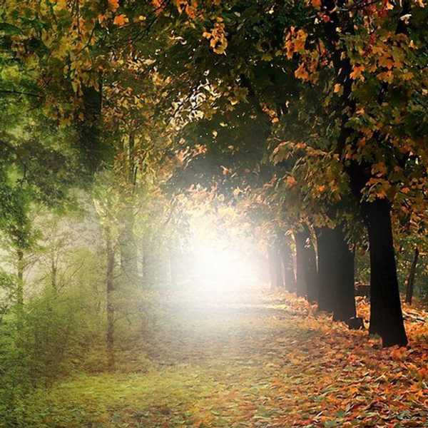 Falling In Love With Fall: 15 Things I'm Most Excited About