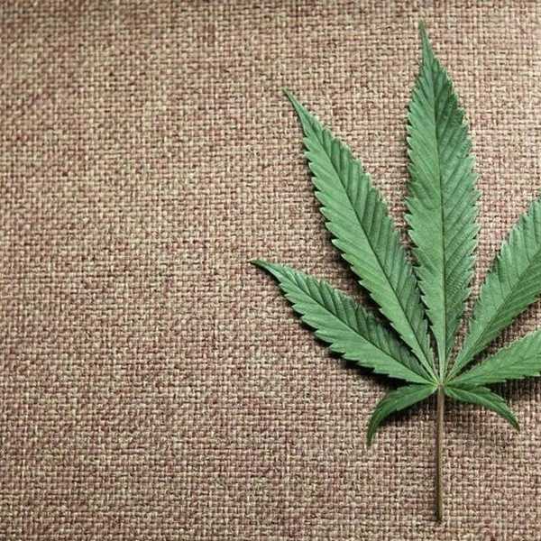 Data Shows Middle-Aged Parents Are Bigger Stoners Than Their Kids