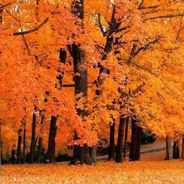 12 Reasons You Should Be Excited For Fall