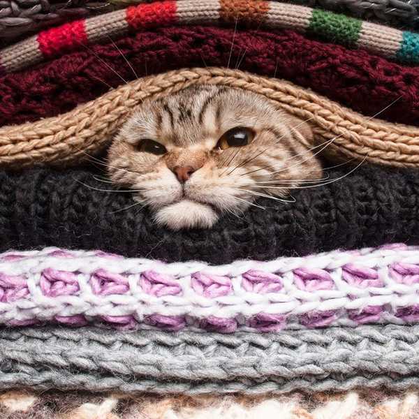 Chronically Sick Of Hearing It