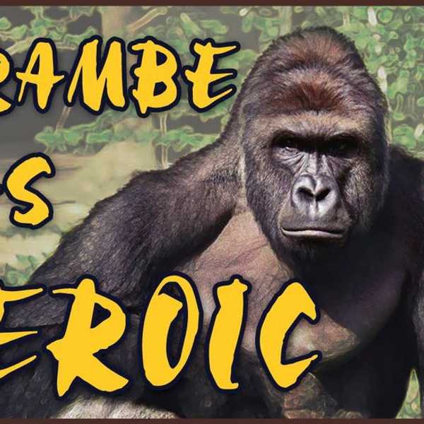 The Internet Sensation: Harambe