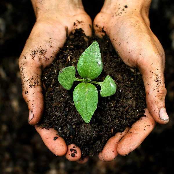 Why "Planting The Seed" Is A Cop-Out